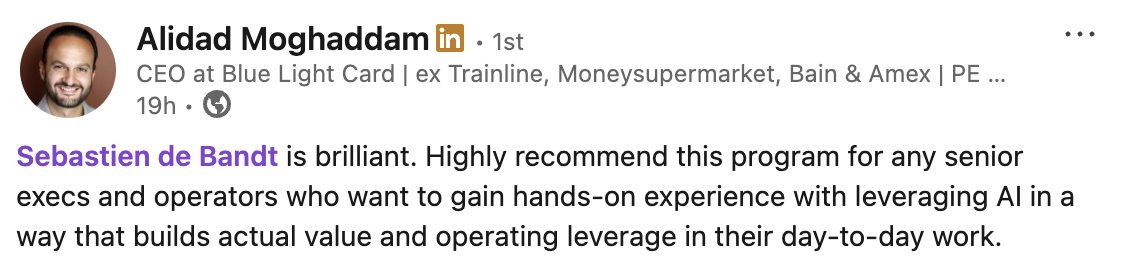LinkedIn post by Alidad Moghaddam, CEO at Blue Light Card: "Sebastien de Bandt is brilliant. Highly recommend this program for any senior execs and operators who want to gain hands-on experience with leveraging AI in a way that builds actual value and operating leverage in their day-to-day work."
